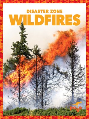 cover image of Wildfires